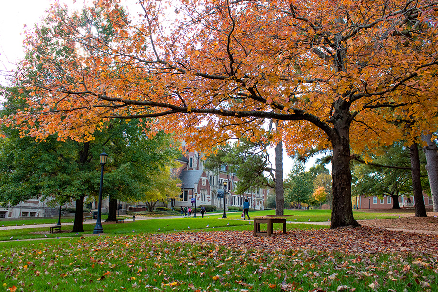 Front quad of campus facing Buttrick Hall in the fall with a fall tree.