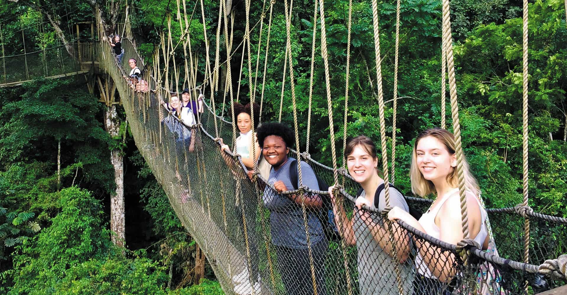 A row of Agnes Scott Summit students on a rope bridge.